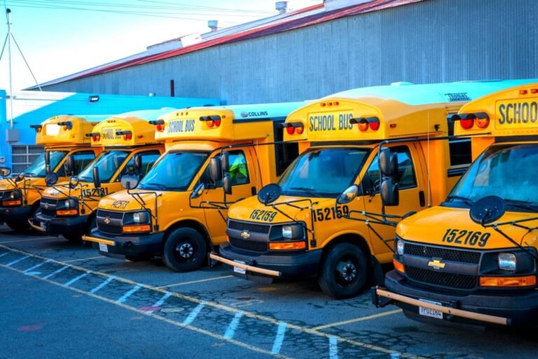 Multiple school buses in a parking lot.