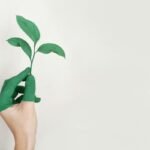 Person's hand connecting with the environment while holding a seedling for sustainability.