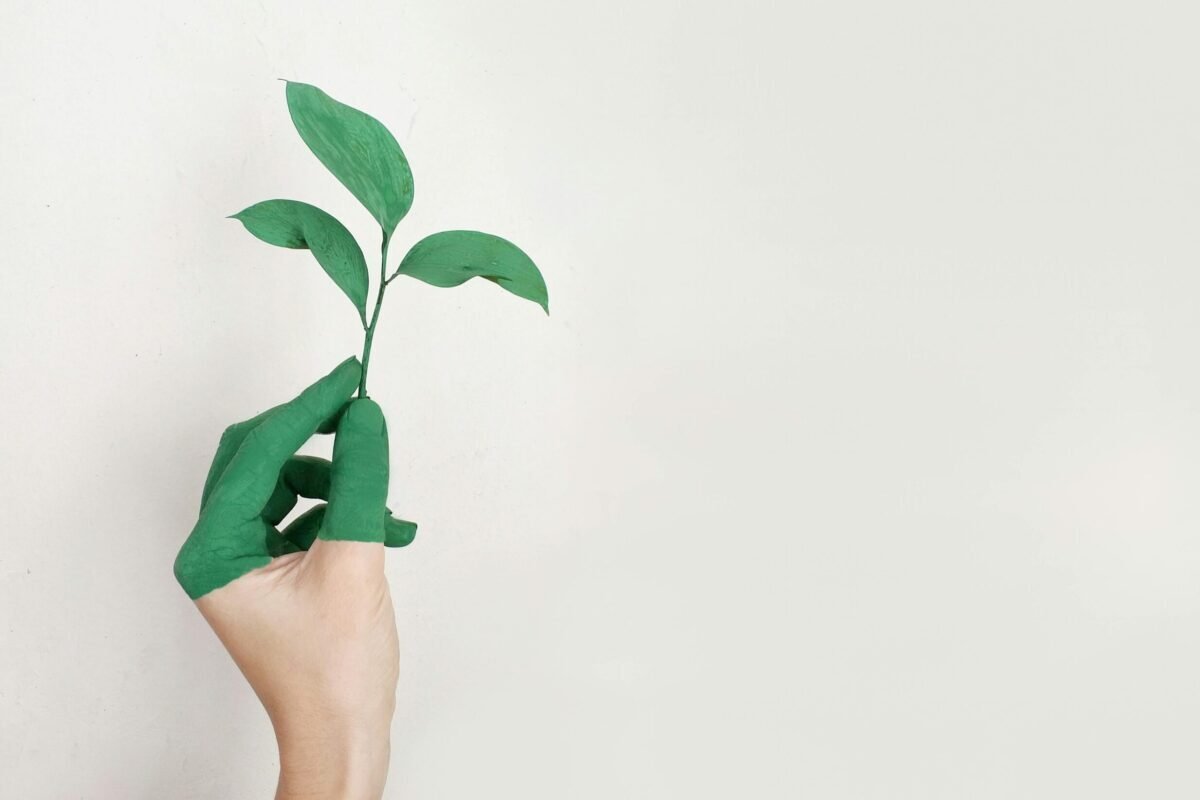 Person's hand connecting with the environment while holding a seedling for sustainability.